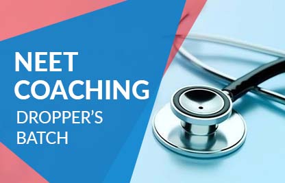 NEET – One Year Dropper Coaching Program